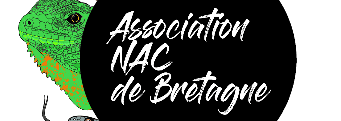 Association NAC de Bretagne